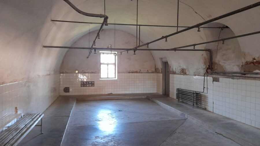 Private Half-Day Tour To Terezin Concentration Camp - Who Is This Tour Best For?
