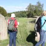 Private Half Day Tour: Viking History Trip from Stockholm Including Sigtuna - What Do Visitors Say? Authentic Perspectives