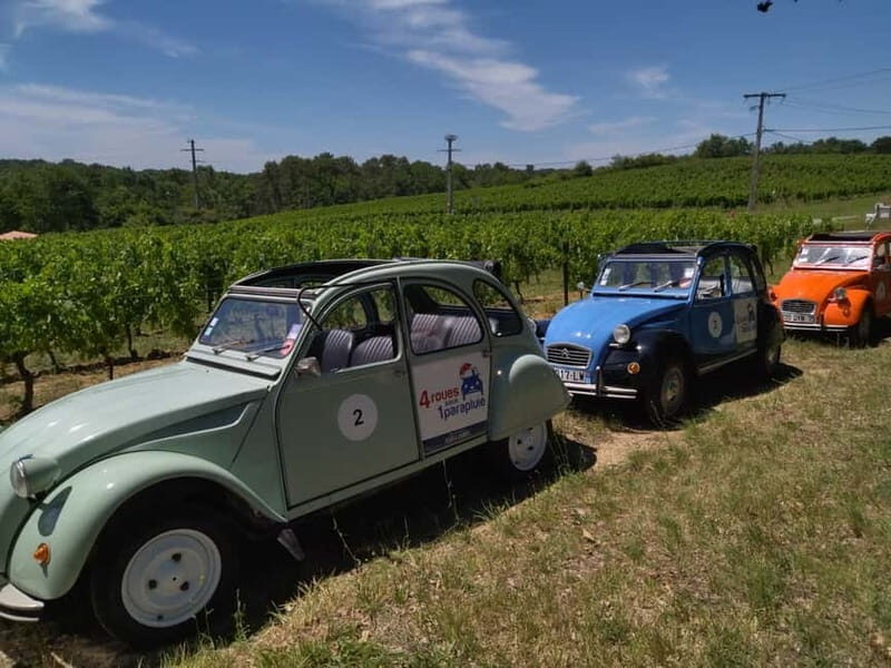 Private Half-Day Wine Tour in Citroën 2CV - Who Is This Tour Best For?