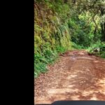 Private halfday & Eucalyptus forest Offroad - What to Expect from the Itinerary