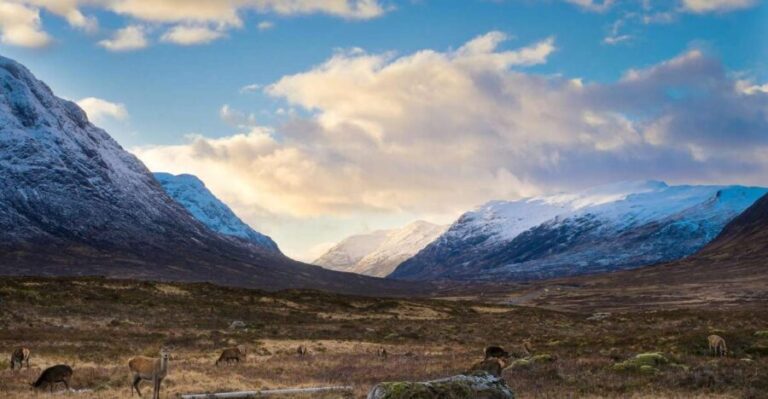 Private Harry Potter Day Tour For Small Groups - Key Points