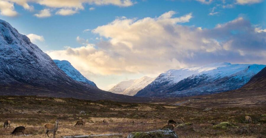 Private Harry Potter Day Tour For Small Groups - Key Points