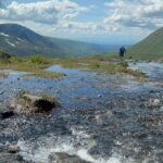 Private Hatcher Pass, Iditarod & Local Wildlife Tour - What’s the Value?