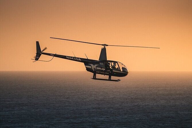 Private Helicopter Tour of Beaches & Downtown Los Angeles from Long Beach - The Fine Print: Cost, Capacity, and Practical Details