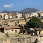 Private Herculaneum Guided Tour with an Archeologist - What to Expect from the Herculaneum Private Tour