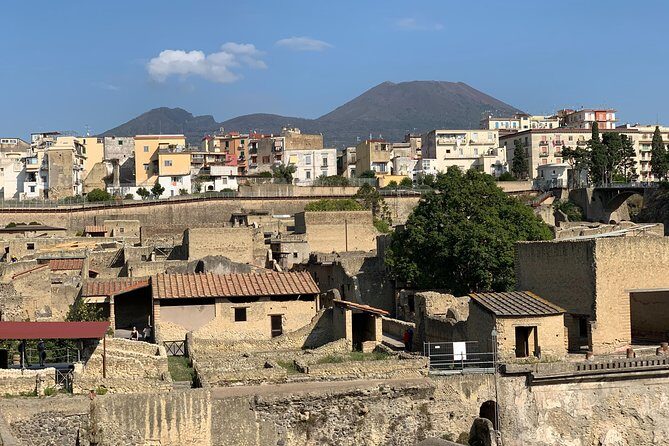 Private Herculaneum Guided Tour with an Archeologist - What to Expect from the Herculaneum Private Tour