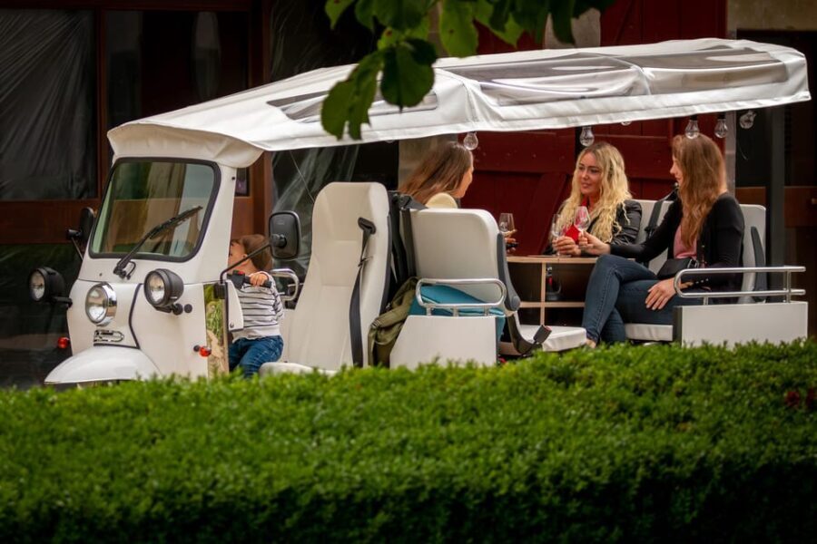 Private Highlights Top Places Tour Electric TukTuk 1h15 - A Comfortable, Fun Way to Discover Geneva