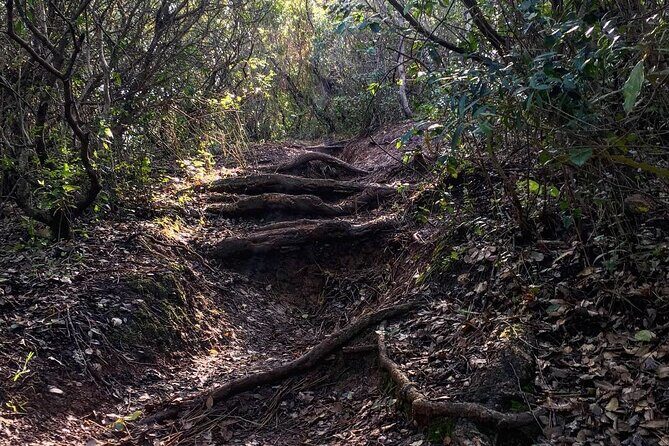 Private Hiking Adventure at Arrábida Mountain - Who Is This Tour Best For?