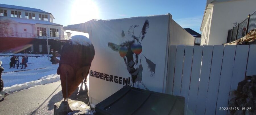 Private hiking tour Bergen mountains like a local - A Closer Look at the Itinerary