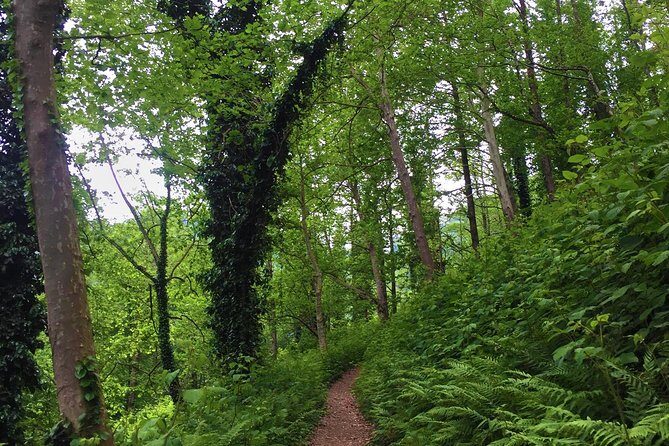 Private Hiking Tour to Mtirala National Park from Batumi - Who Is This Tour Best For?