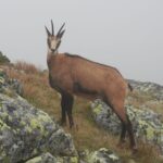 Private Hiking Tour Visit to Slovakia with Licensed Guide - What to Expect on the Itinerary