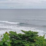 Private Hilo Shore Excursion Volcano National Park up to 14 - A Closer Look at the Itinerary