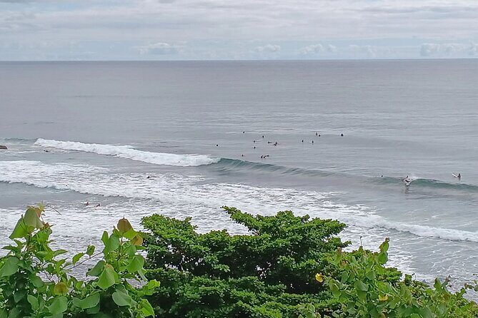 Private Hilo Shore Excursion Volcano National Park up to 14 - A Closer Look at the Itinerary