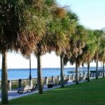 Private Historic Horse & Carriage Tour of Charleston - Analyzing the Price and Value