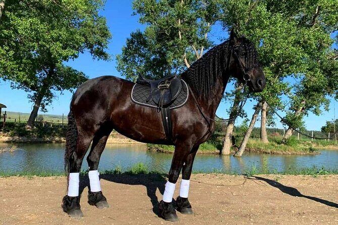 Private Horse Ridding tour - A Closer Look at the Horse Riding Experience in Tbilisi