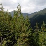 Private Horse Riding in Teteven Balkan from Sofia - What to Expect on the Day