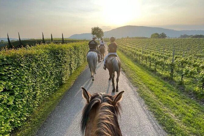 Private Horseback Riding Tour of the Vineyards in Verona with Wine Tasting - The Practicalities: What You Need to Know