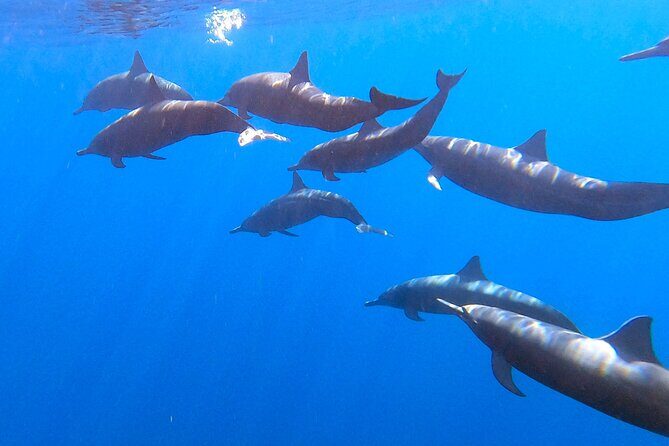 Private Huatulco Ocean, Bays & Coral Reef Snorkeling Adventures - Who Will Enjoy This Tour Most?