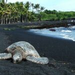Private Island Tour in Hawaii with Pickup Included - Frequently Asked Questions