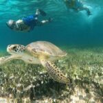 Private Jeep Tour & ATV to Jade Cavern Cenote: All Inclusive - What’s Included and How the Tour Shapes Up