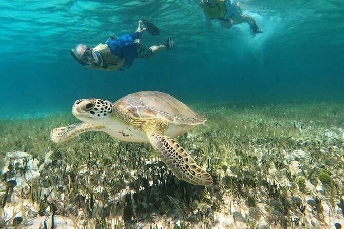 Private Jeep Tour & ATV to Jade Cavern Cenote: All Inclusive - What’s Included and How the Tour Shapes Up