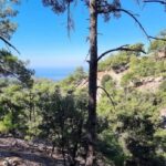 Private Jeep Tour to Viannos, Omalos Forest & Myrtos Beach - The Value of This Adventure