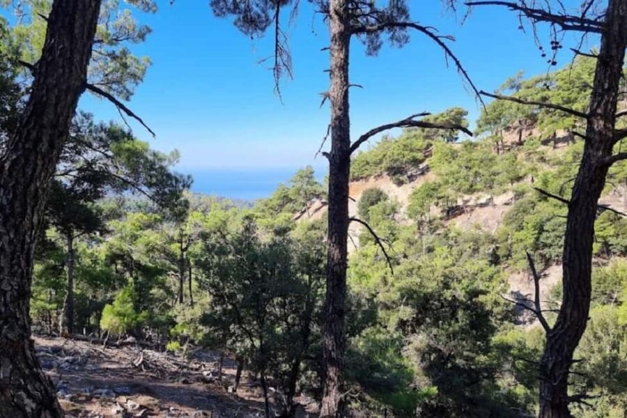 Private Jeep Tour to Viannos, Omalos Forest & Myrtos Beach - The Value of This Adventure