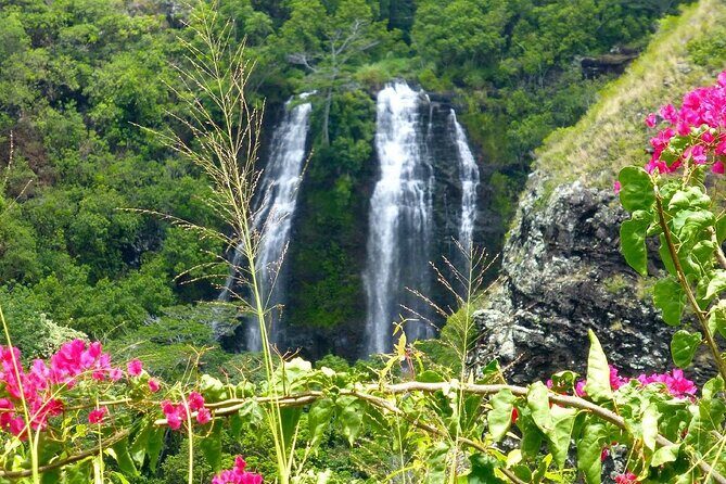 Private Kauai 5-Hour Eastside & Waterfalls Tour - How Does This Tour Compare to Other Kauai Experiences?