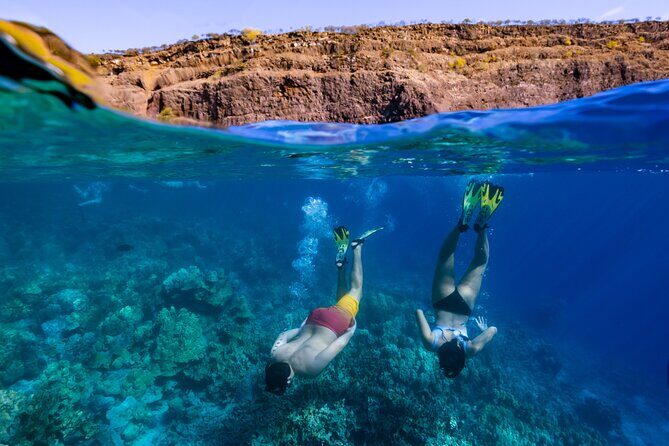 Private Kealakekua Bay Snorkel with Dolphin Watch - Who Would Enjoy This Tour?