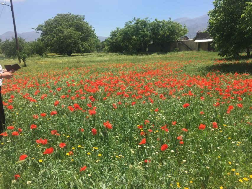 Private-Knossos Palace-Zeus -Villages-Olive Oil Factory - Why These Villages Matter