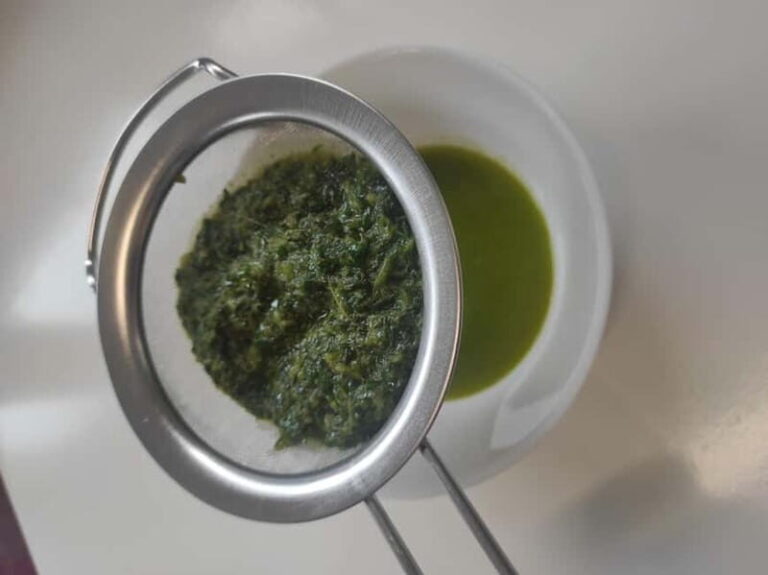 Private Kombucha Making Workshop in Cyprus - Is It Worth the Price?