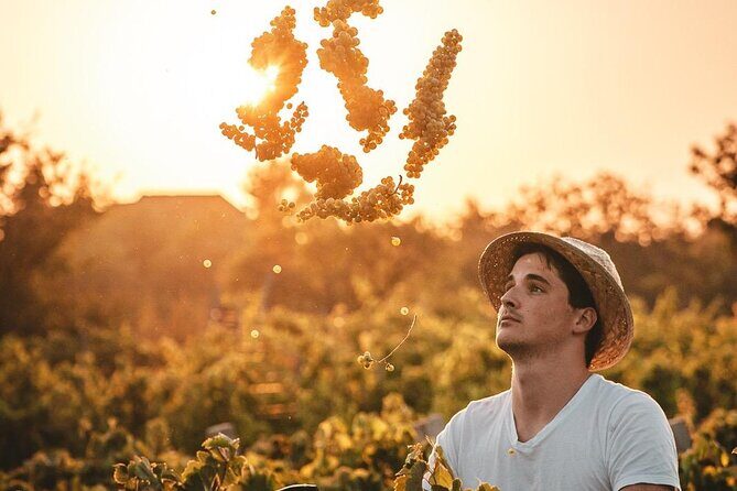 Private Krka Waterfalls Tour with Wine Tasting - Exploring the Itinerary in Detail