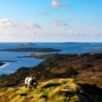 Private Kylemore Abbey Express - The Downside