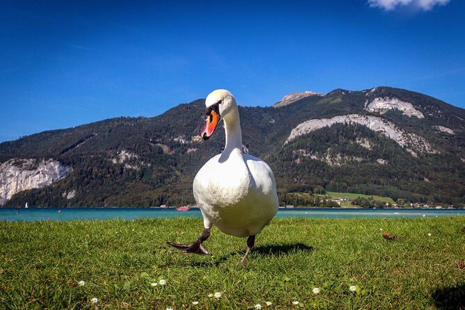 Private Lake District, St. Wolfgang and St. Gilgen Tour - What Makes This Tour Stand Out