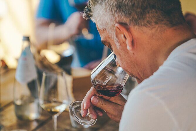 Private Langhe and Barolo Wine Tour from Milan - Authentic Experiences and Genuine Reviews