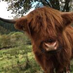 Private Loch Ness & Glencoe Day Trip from Edinburgh - Who Should Consider This Tour?