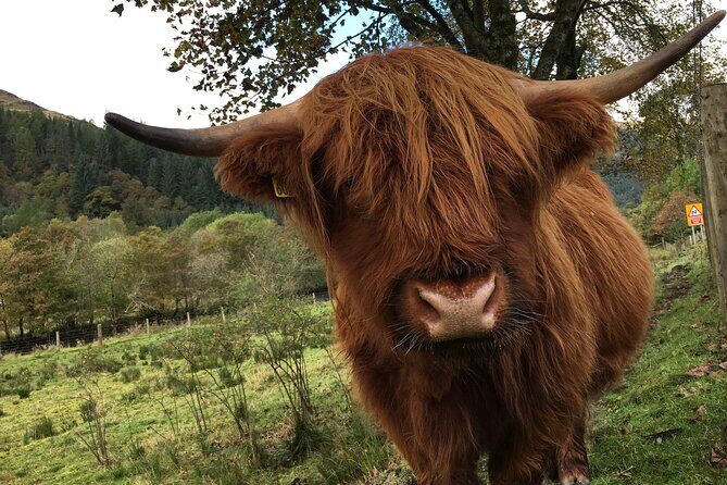 Private Loch Ness & Glencoe Day Trip from Edinburgh - Who Should Consider This Tour?