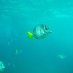 Private Los Cabos Arch & Playa del Amor tour by Glass bottom kayak - Highlights of the Experience