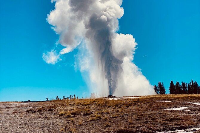 Private Lower Loop Tour of Yellowstone National Park - Who is This Tour Best For?