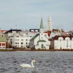 Private Luxury City Tour Reykjavik - What Makes This Tour Stand Out?
