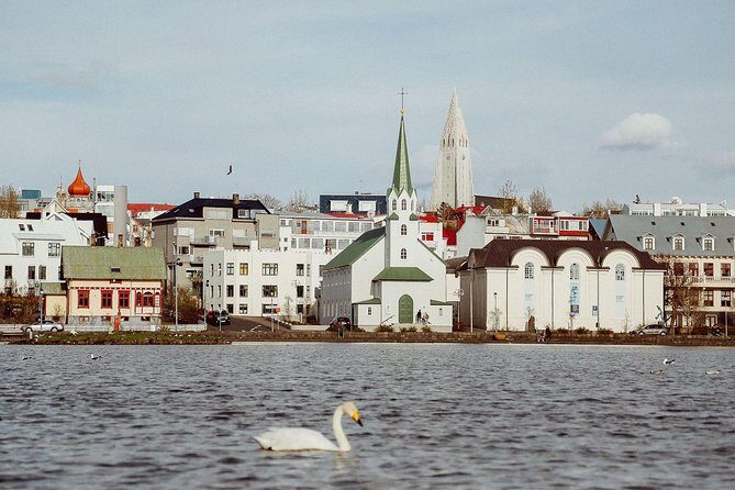 Private Luxury City Tour Reykjavik - What Makes This Tour Stand Out?