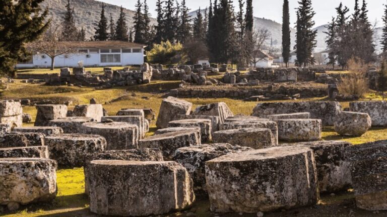 Private Luxury Tour: Nemea's Ancient Sites & Wine Tasting - Why This Tour Might Be Perfect for You