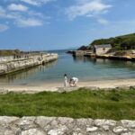 Private luxury tour of Belfast & giants causeway tickets inc - The Itinerary: A Deep Dive