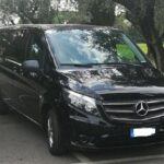 Private Luxury Transfer from Fiumicino Airport to Rome - Drivers and Service Quality