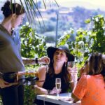 Private Luxury Transportation Experience - Sonoma - Transportation and Comfort