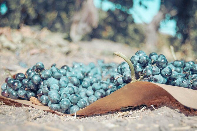 Private Luxury Transportation Experience - Temecula Valley - The Itinerary and What to Expect