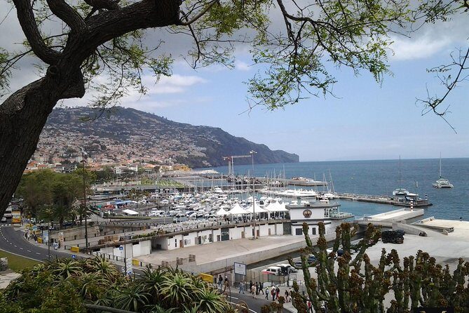 Private Madeira Tour up to 4 people - Who Is This Tour Best For?