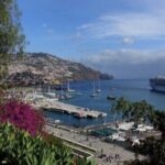 Private: Maderia Island Tour & Famous Monte Toboggan Ride - Logistics and Practicalities