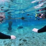Private Manatee Snorkeling Tour - The Itinerary Breakdown
