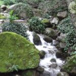 Private Monchique Guided Forest Hike w/Medronho Tasting - Breaking Down the Experience